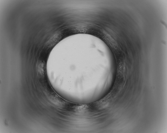 X0000096700122200803041329