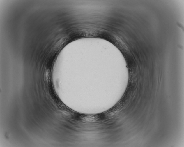 X0000096700123200803041329