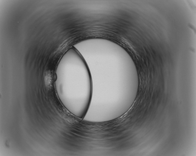 X0000096700124200803041329