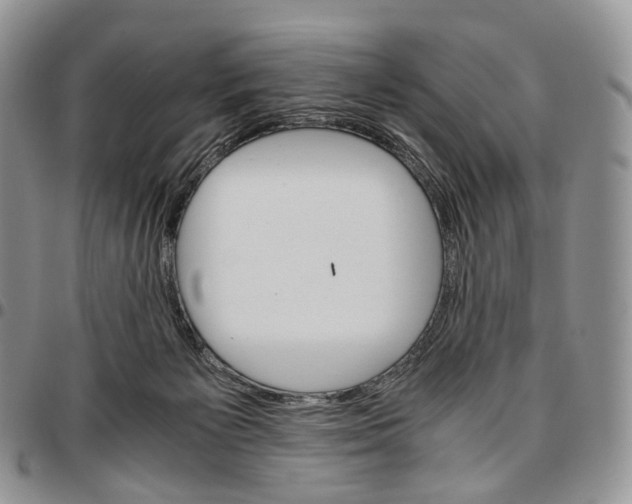 X0000096700125200803041329