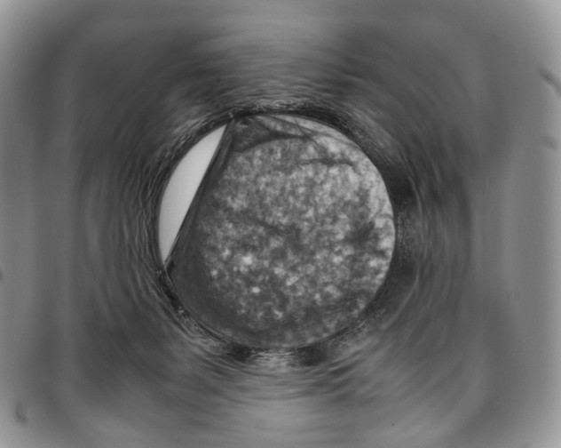 X0000096700127200803041329