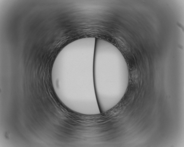 X0000096700129200803041329