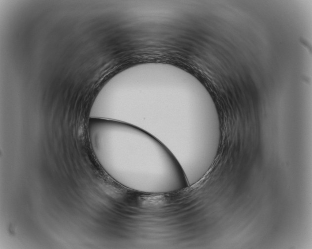 X0000096700132200803041329