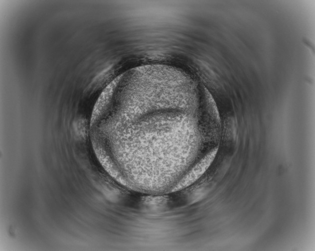 X0000096700135200803041329
