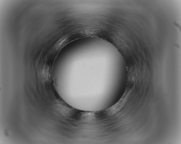 X0000096700140200803041329