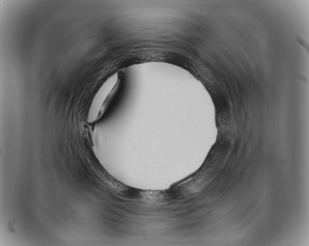 X0000096700141200803041329