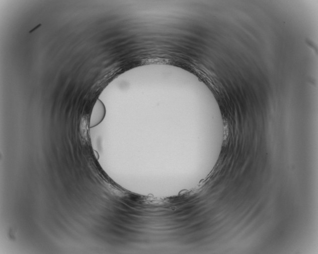 X0000096700142200803041329