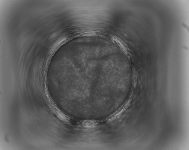 X0000096700145200803041328