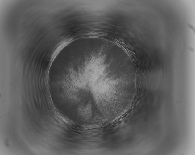 X0000096700147200803041328