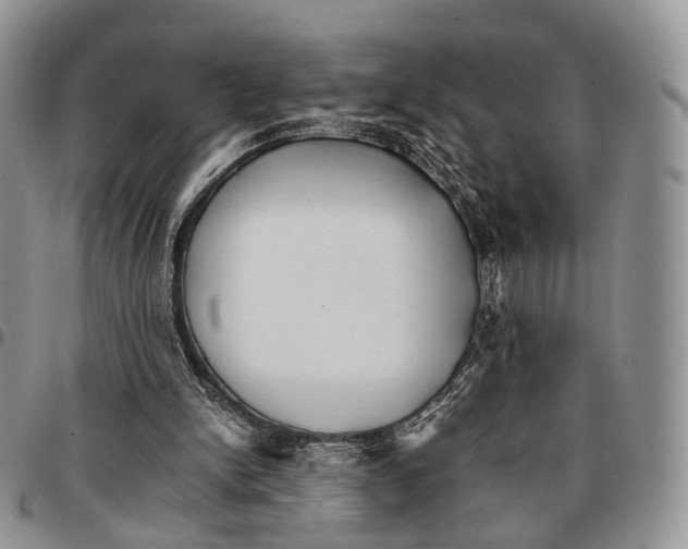 X0000096700150200803041328