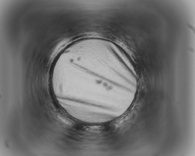 X0000096700151200803041328