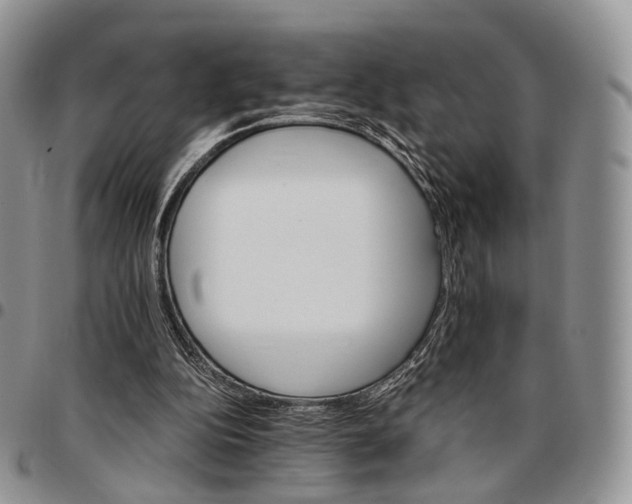 X0000096700152200803041328