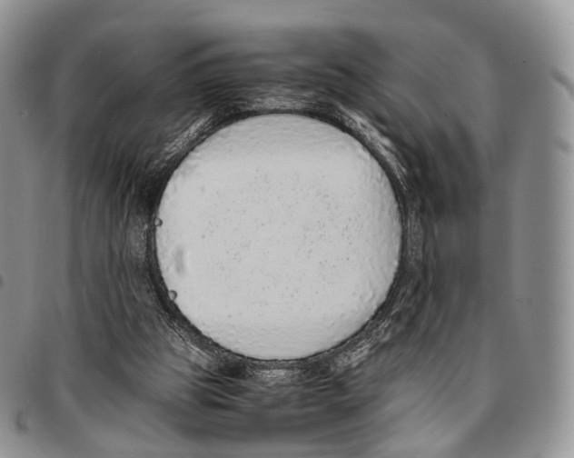 X0000096700153200803041328