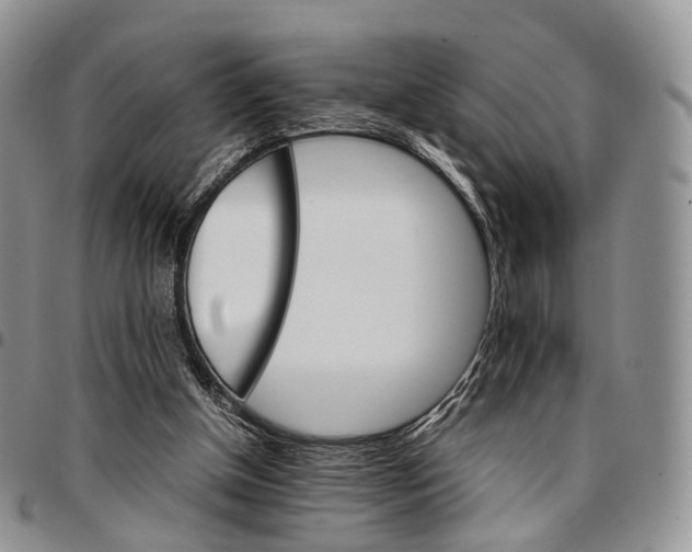 X0000096700154200803041328
