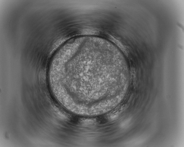 X0000096700155200803041328
