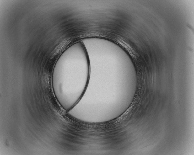 X0000096700158200803041328