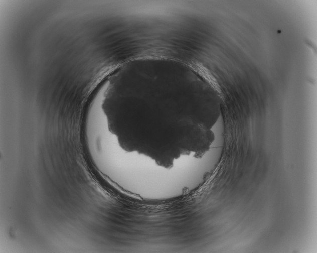X0000096700159200803041328