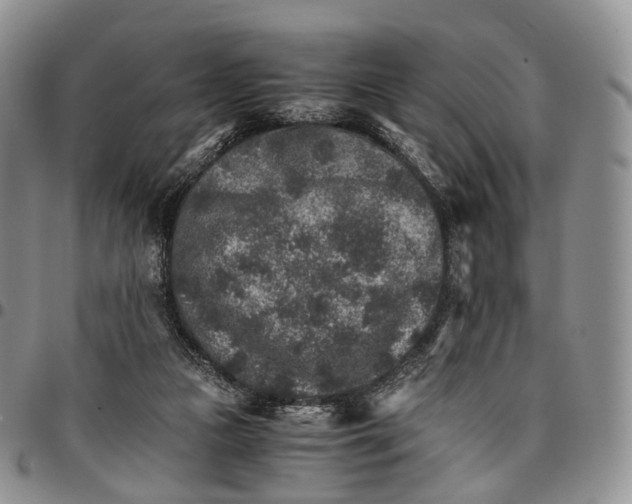 X0000096700161200803041328