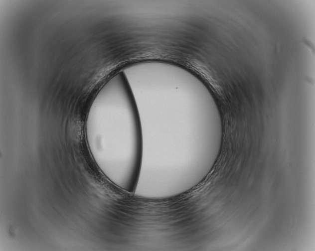 X0000096700164200803041328