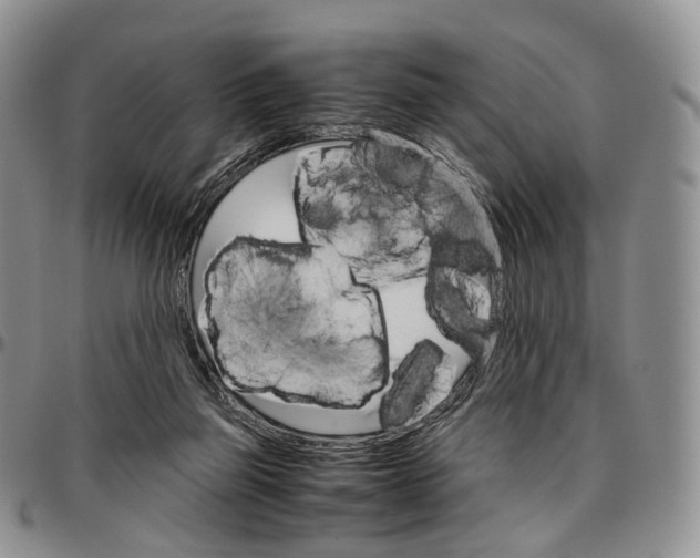 X0000096700165200803041328