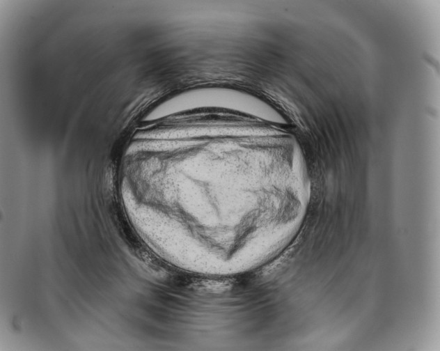 X0000096700166200803041328
