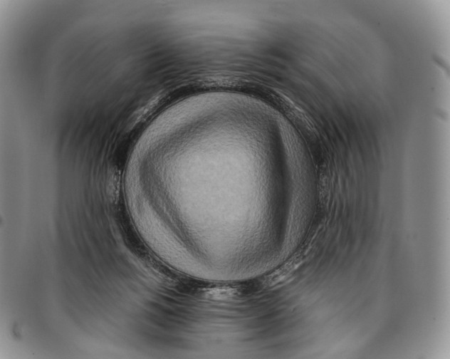 X0000096700168200803041328