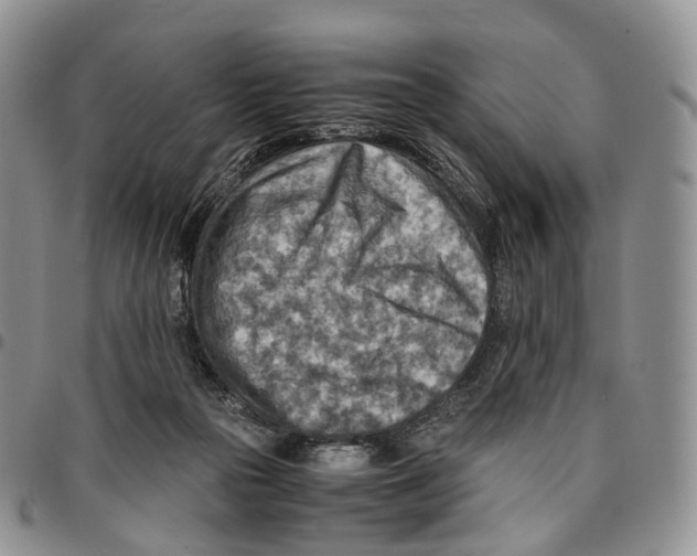 X0000096700169200803041328