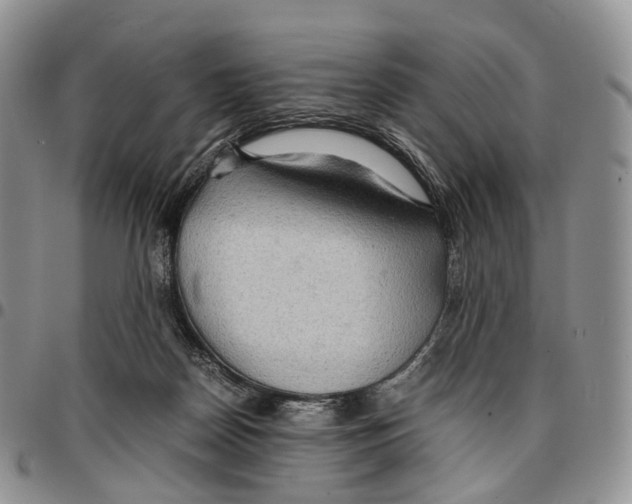 X0000096700170200803041328