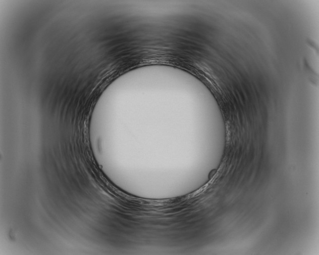 X0000096700171200803041328