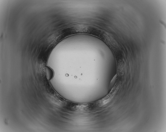X0000096700172200803041328