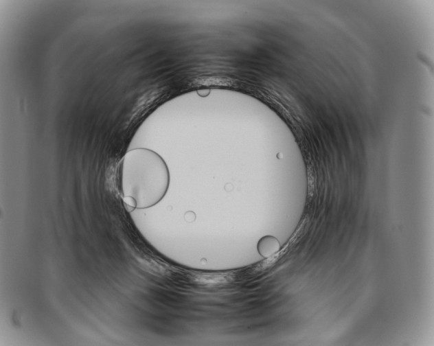 X0000096700175200803041328