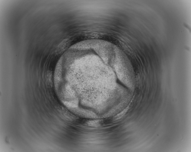X0000096700178200803041328