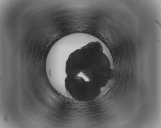 X0000096700179200803041328