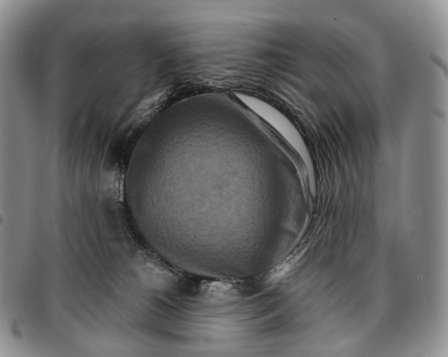 X0000096700180200803041328