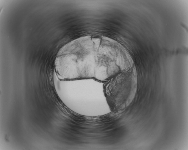 X0000096700185200803041328
