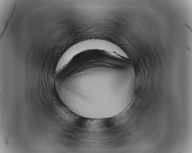 X0000096700186200803041328