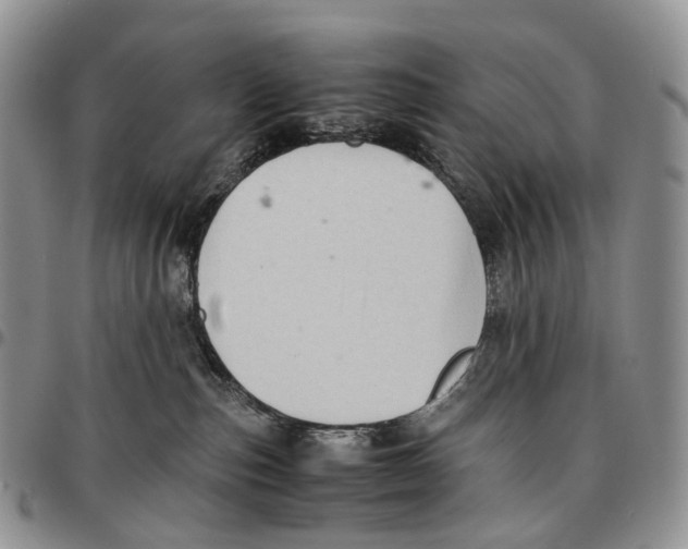 X0000096700187200803041328