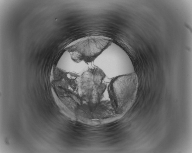 X0000096700189200803041328