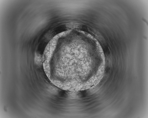 X0000096700191200803041328