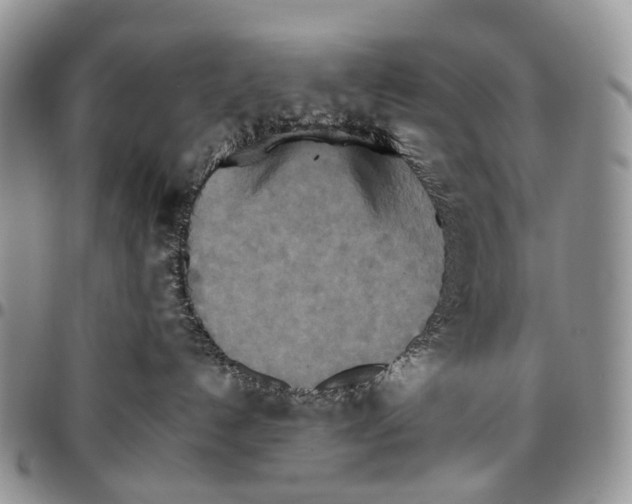 X0000096700192200803041328