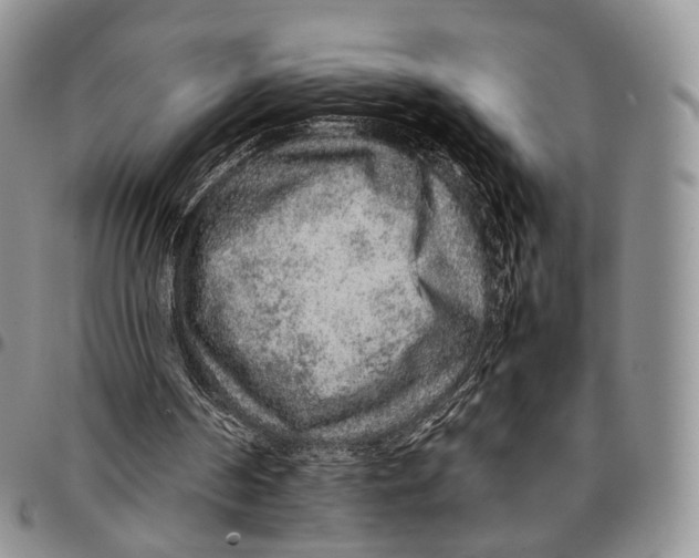 X0000096700194200803041328