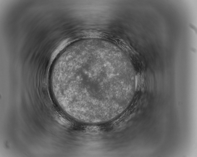 X0000096700195200803041328