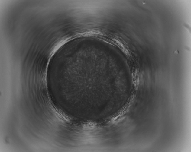 X0000096700196200803041328