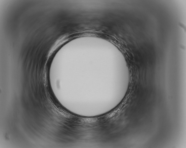 X0000096700198200803041328