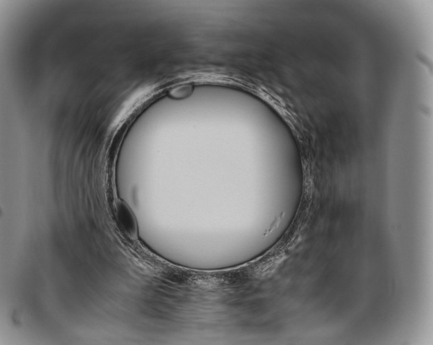 X0000096700199200803041328