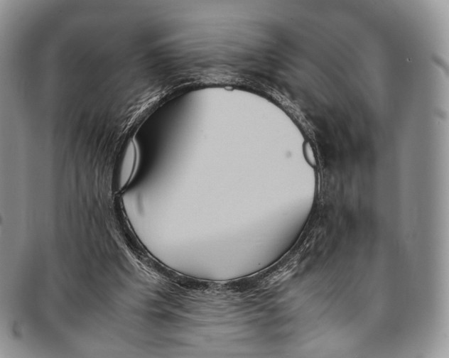 X0000096700201200803041328