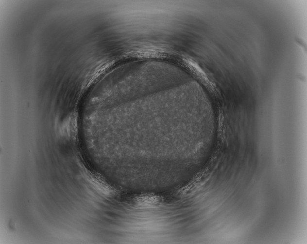 X0000096700202200803041328