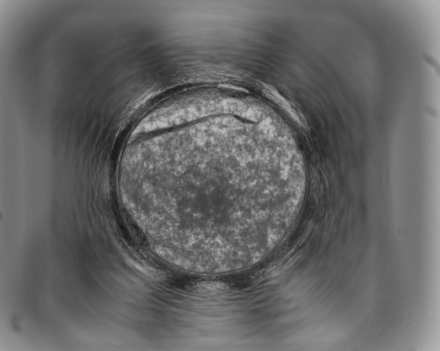 X0000096700203200803041328