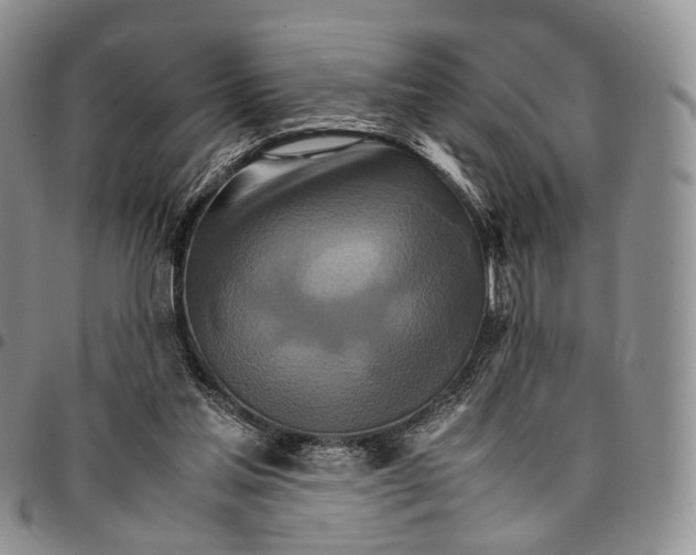 X0000096700205200803041328