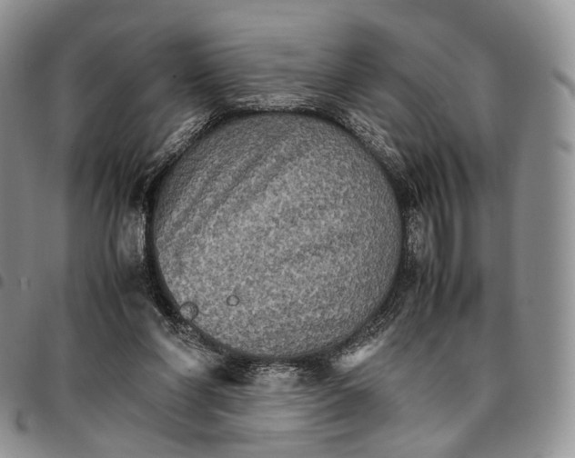 X0000096700206200803041328